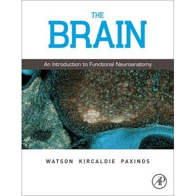 The Brain : An Introduction to Functional Neuroanatomy, 1st Edition