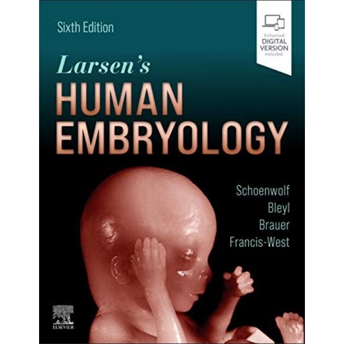 Larsen`s Human Embryology 6th Edition