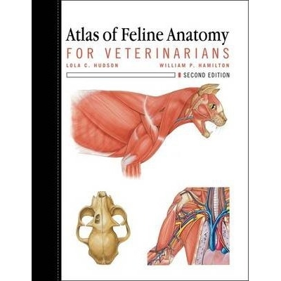 Atlas of Feline Anatomy For Veterinarians, 2nd Edition
