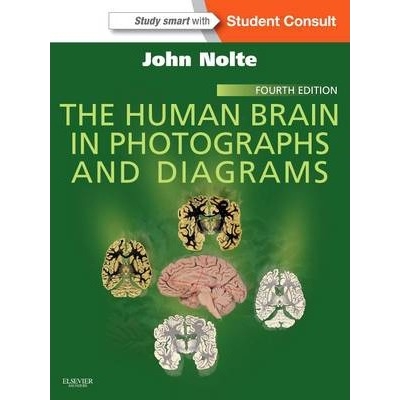 The Human Brain in Photographs and Diagrams : With STUDENT CONSULT Online Access, 4th Edition