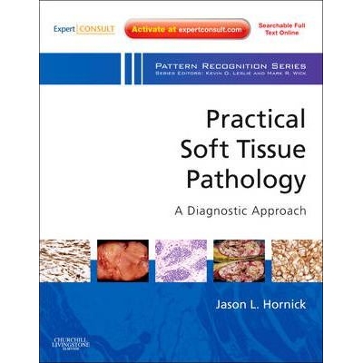 Practical Soft Tissue Pathology: A Diagnostic Approach : A Volume in the Pattern Recognition Series , 1st Edition