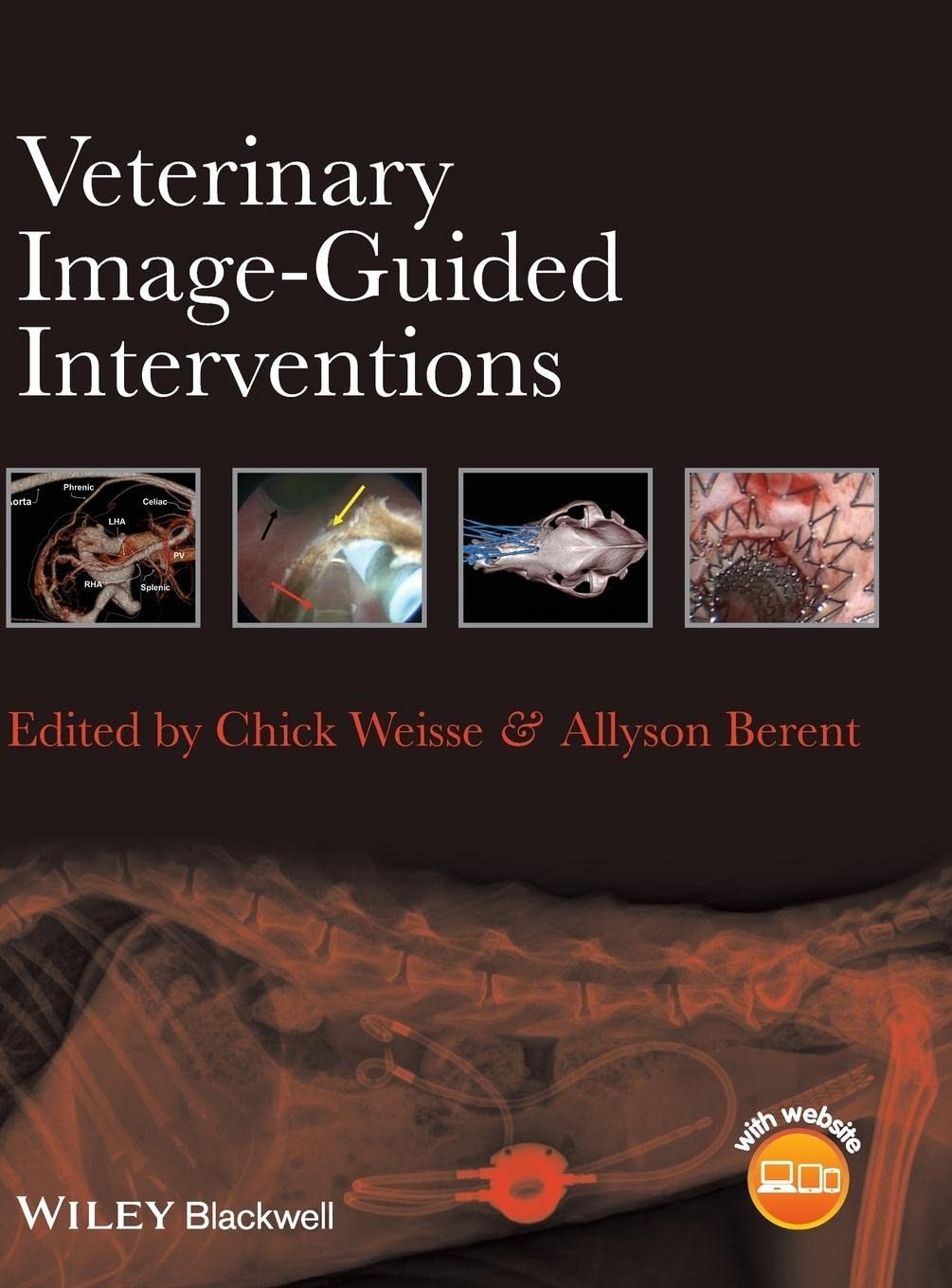 Veterinary Image-guided Interventions