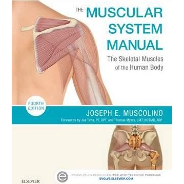 The Muscular System Manual, 4th Edition