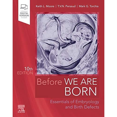 Before We Are Born : Essentials of Embryology and Birth Defects, 10th Edition