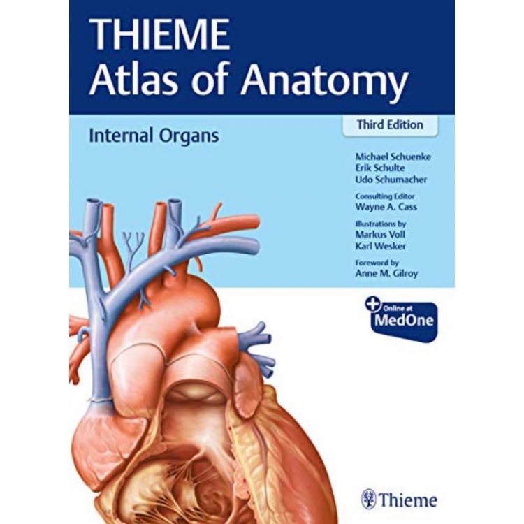Internal Organs (THIEME Atlas of Anatomy) 3rd ed