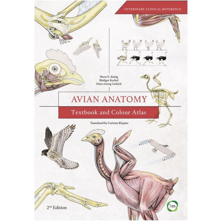 Avian Anatomy Textbook and Colour Atlas