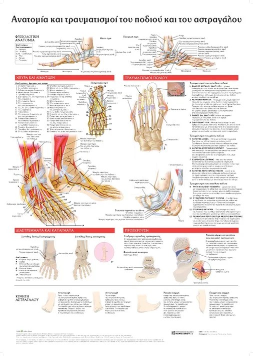 Ανατομικός Χάρτης: Ανατομία και Τραυματισμοί του Ποδιού και του Αστραγάλου