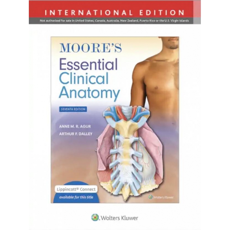 Moore`s Essential Clinical Anatomy Seventh edition, International Edition
