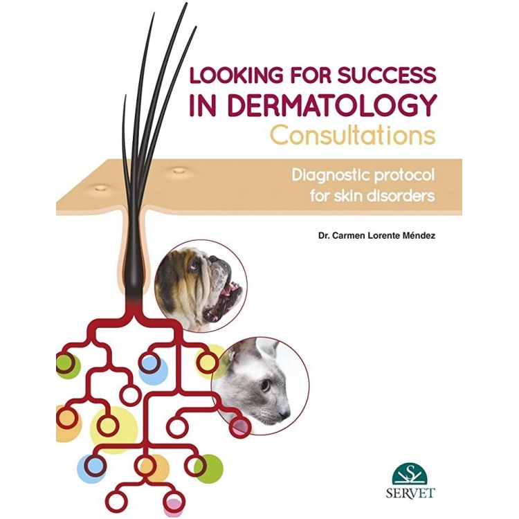 Looking for Success in Dermatology Consultations, Diagnostic Protocol for Skin and Disorders