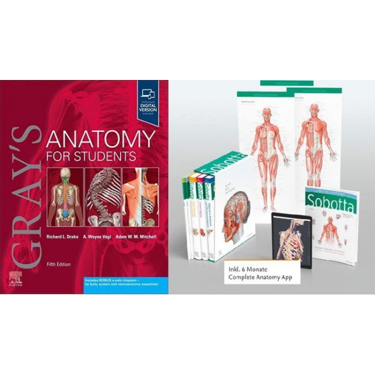 Gray`s Anatomy for Students 5e and Paulsen: Sobotta Atlas of Anatomy, Package, 17th ed., English/Latin - Value Pack, 5th Edition