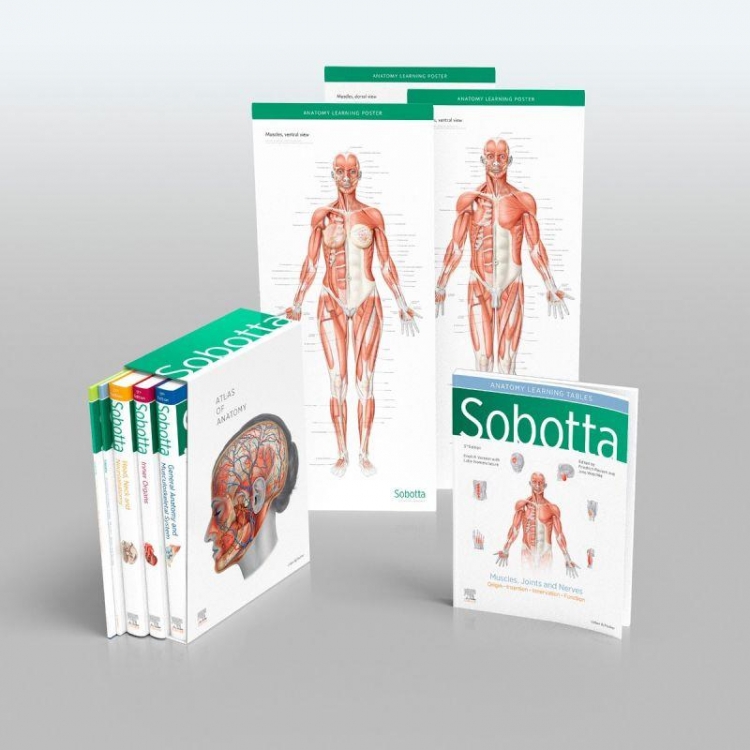 Sobotta Atlas of Anatomy Package, 17th English/Latin Edition