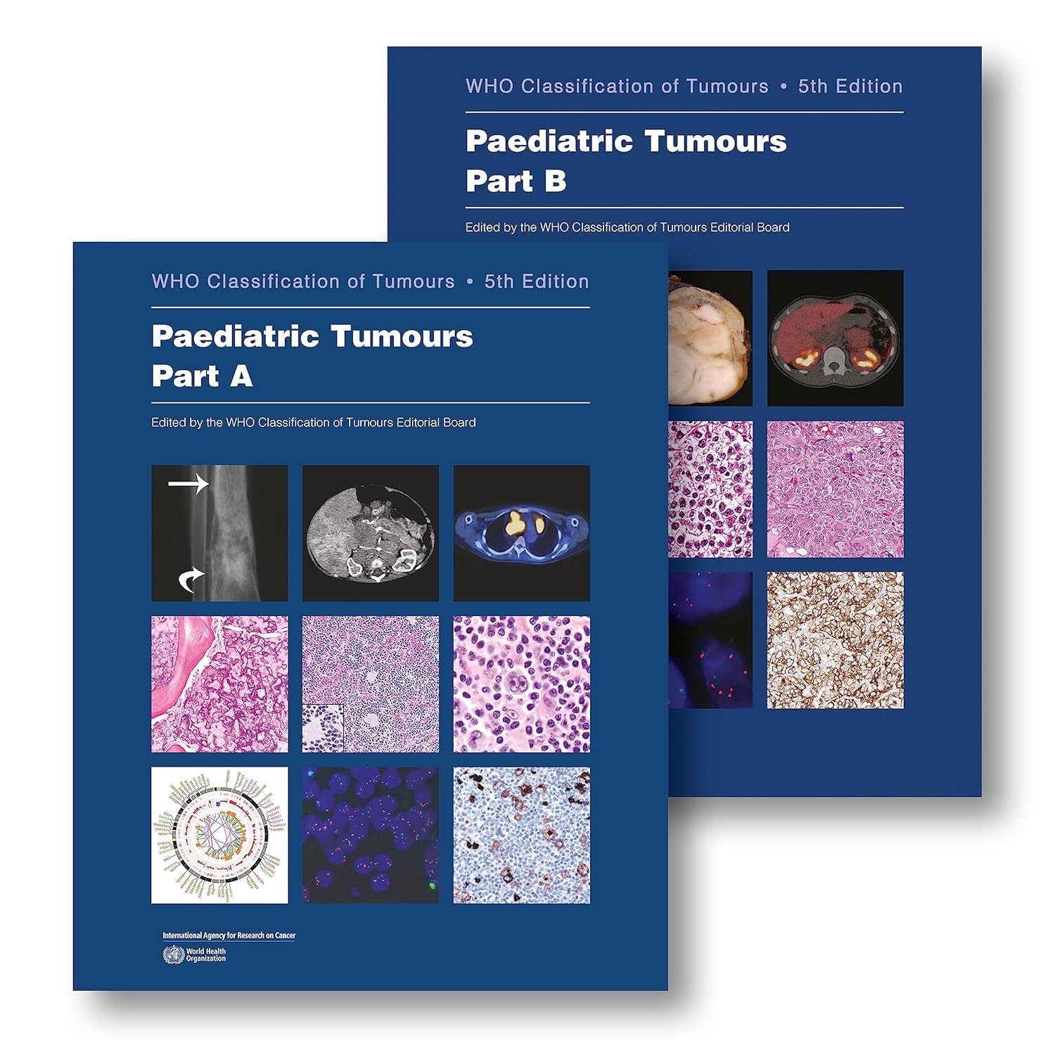 Paediatric Tumours: WHO Classification of Tumours, 5th Edition