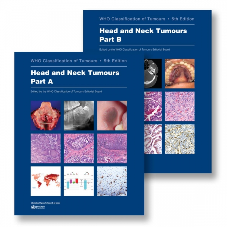 Head and Neck Tumours Edition 5 WHO Classification of Tumours 2 vol