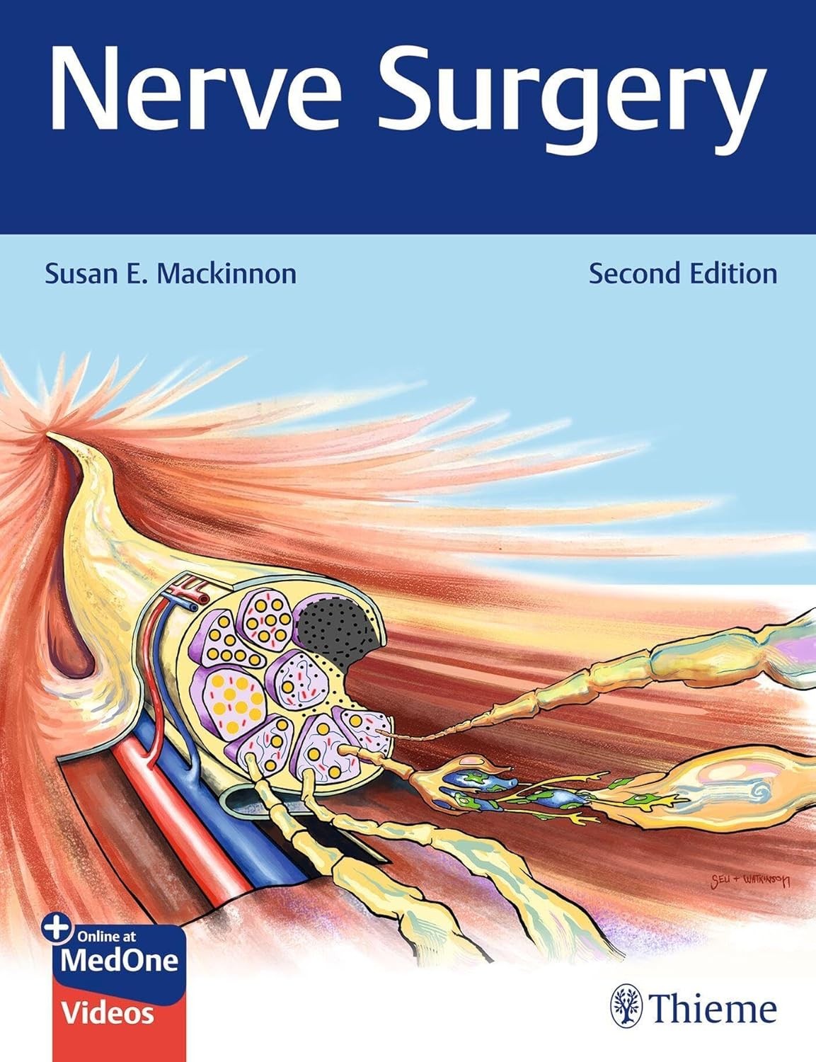 Nerve Surgery, 2nd Edition