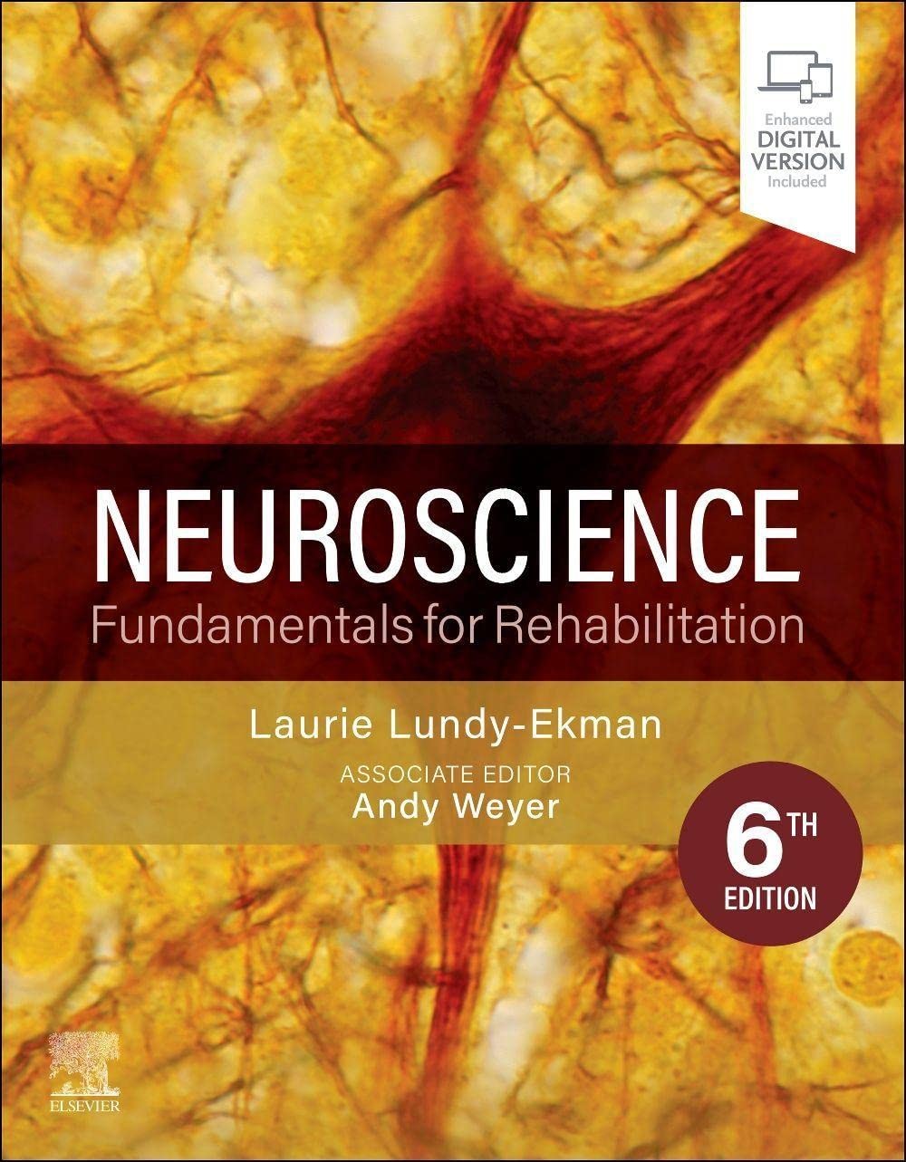 Neuroscience: Fundamentals for Rehabilitation, 6th Edition