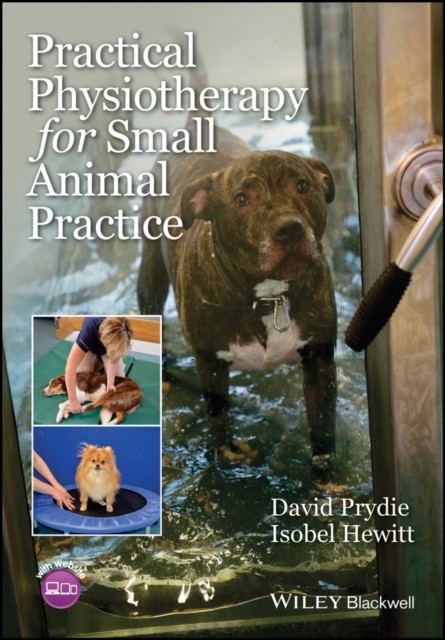 Practical Physiotherapy for Small Animal Practice