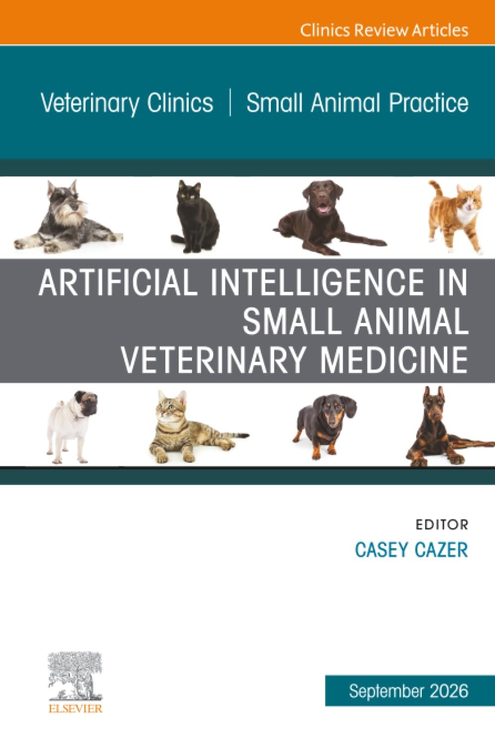 Artificial Intelligence in Small Animal Veterinary Medicine