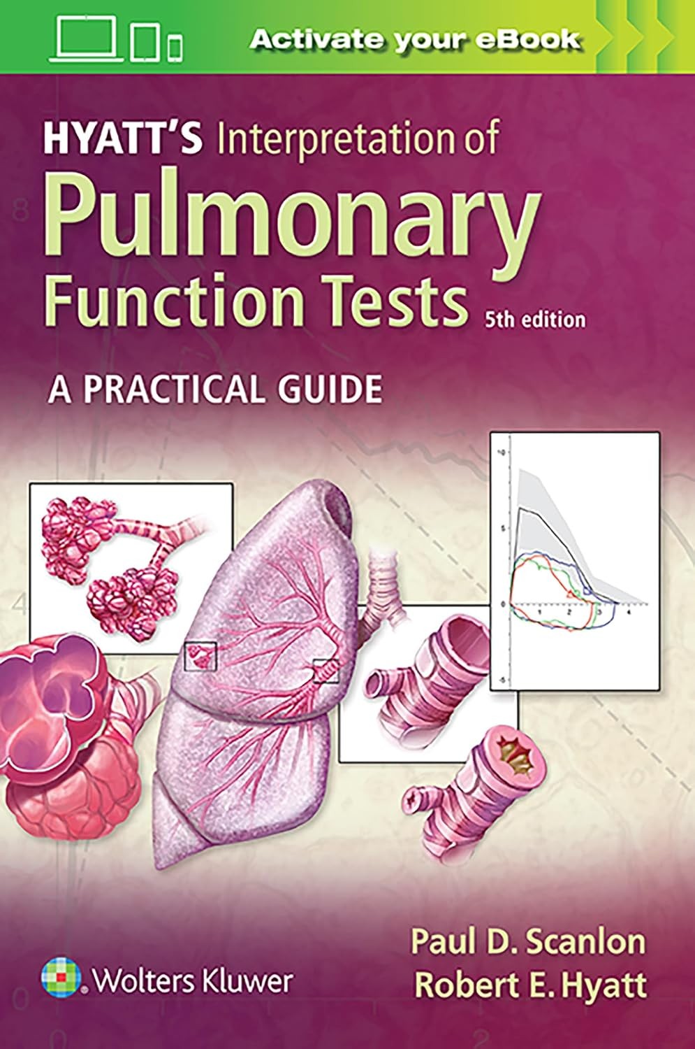 Hyatt`s Interpretation of Pulmonary Function Tests: A Practical Guide, 5th Edition