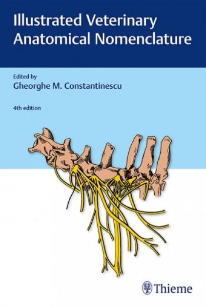 Illustrated Veterinary Anatomical Nomenclature