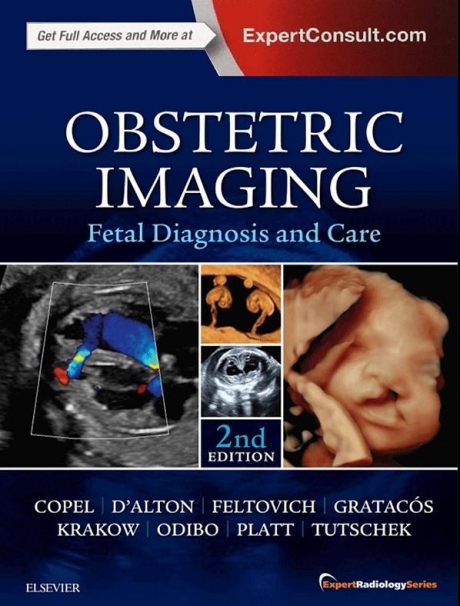 Obstetric Imaging: Fetal Diagnosis and Care, 2nd Edition