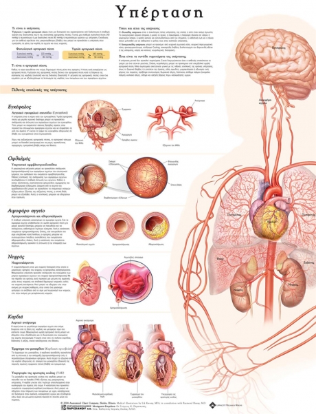 Ανατομικός Χάρτης: Υπέρταση