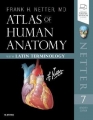 Atlas of Human Anatomy Latin Terminology, 7th Edition