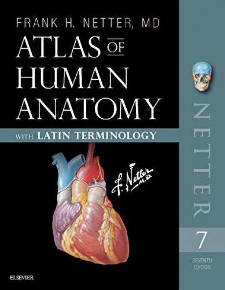 Atlas of Human Anatomy Latin Terminology, 7th Edition