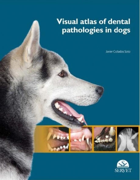 Visual Atlas of Dental Pathologies in Dogs