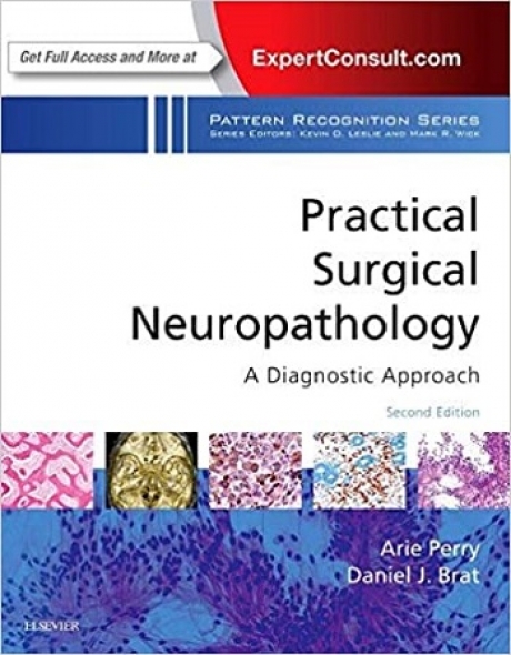 Practical Surgical Neuropathology A Diagnostic Approach A Volume in the Pattern Recognition Series 2nd Edition