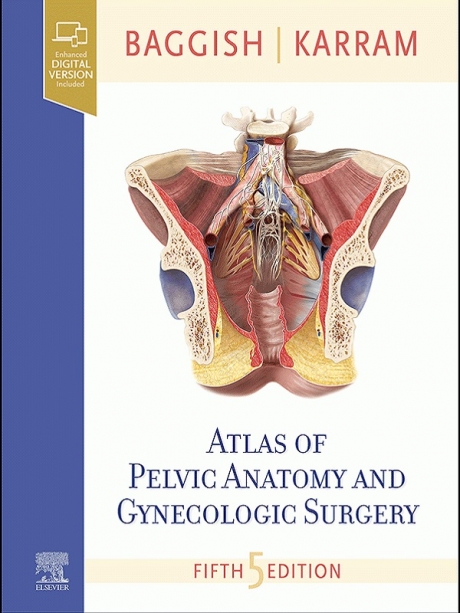 Atlas of Pelvic Anatomy and Gynecologic Surgery 5th Edition