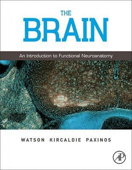 The Brain: An Introduction to Functional Neuroanatomy, 1st Edition