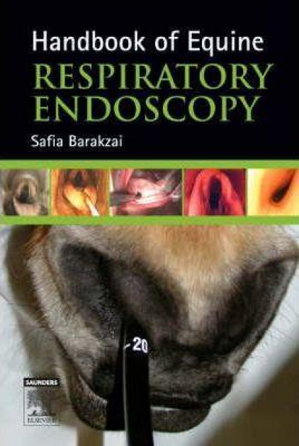 Handbook of Equine Respiratory Endoscopy, 1st Edition