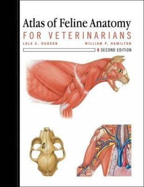Atlas of Feline Anatomy For Veterinarians, 2nd Edition