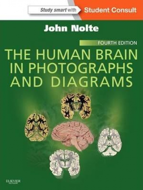 The Human Brain in Photographs and Diagrams : With STUDENT CONSULT Online Access, 4th Edition