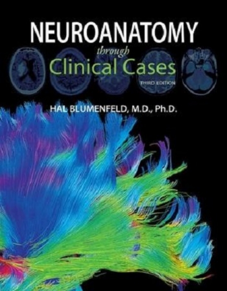 Neuroanatomy through Clinical Cases, 3rd Edition