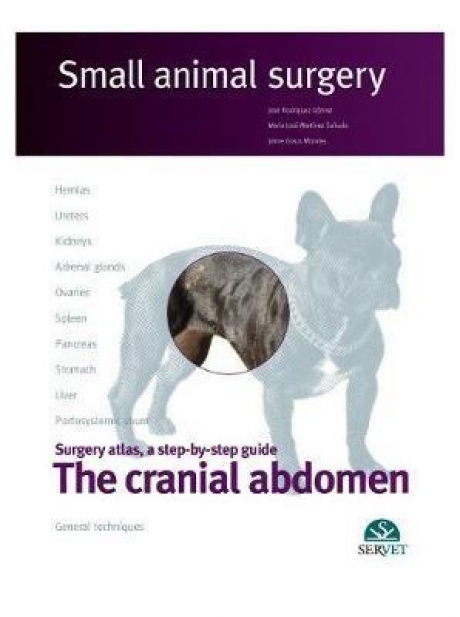 The cranial abdomen. Small animal surgery