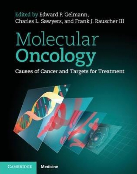 Molecular Oncology: Causes of Cancer and Targets for Treatment, 1st Edition