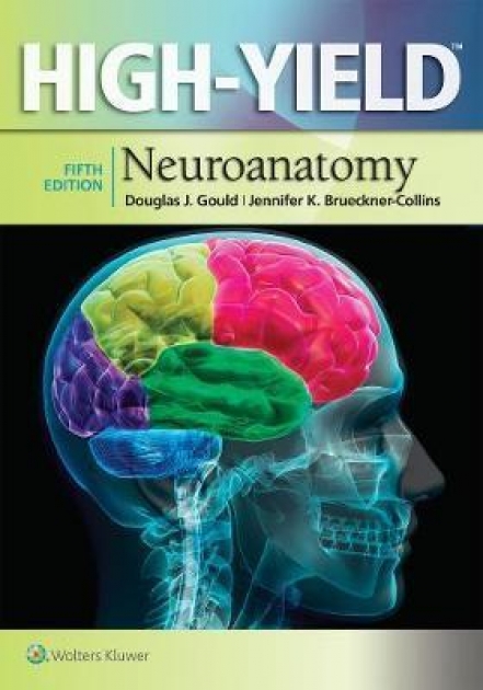 High-Yield (TM) Neuroanatomy, 5th Edition