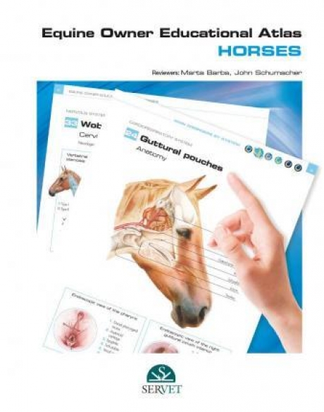 Equine Owner Educational Atlas: Horses, 1st Edition