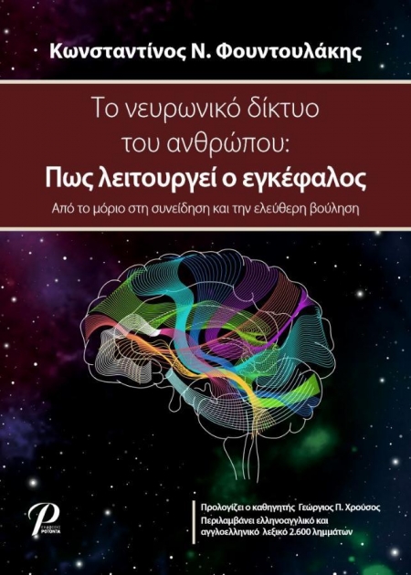 Το Νευρωνικό Δίκτυο του Ανθρώπου: Πως λειτουργεί ο Εγκέφαλος
