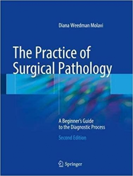 The practice of Surgical Pathology A Beginner`s Guide to the Diagnostic Process
