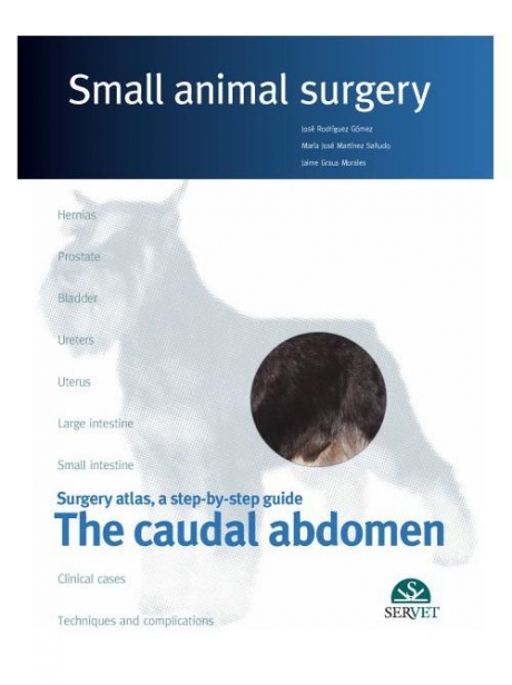 The caudal abdomen. Small animal surgery