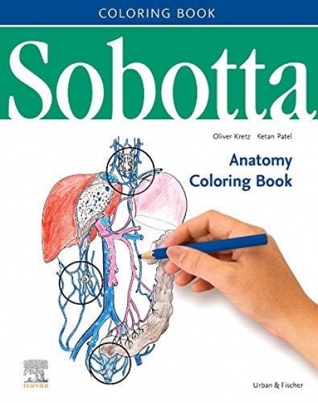 Sobotta Anatomy Coloring Book (English/Latein), 1st Edition