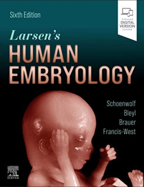 Larsen`s Human Embryology, 6th Edition