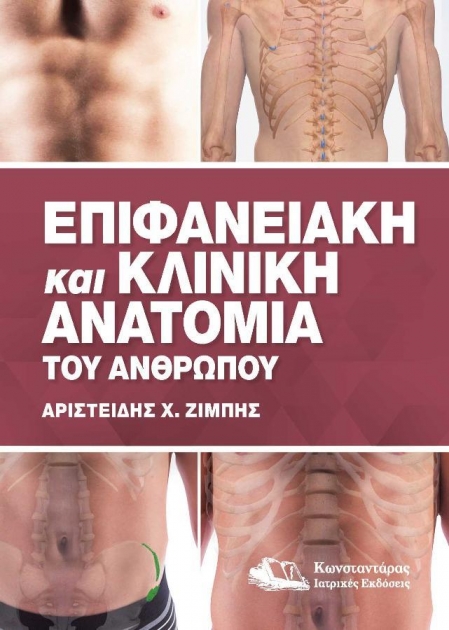 Eπιφανειακή - Kλινική Aνατομία του Aνθρώπου