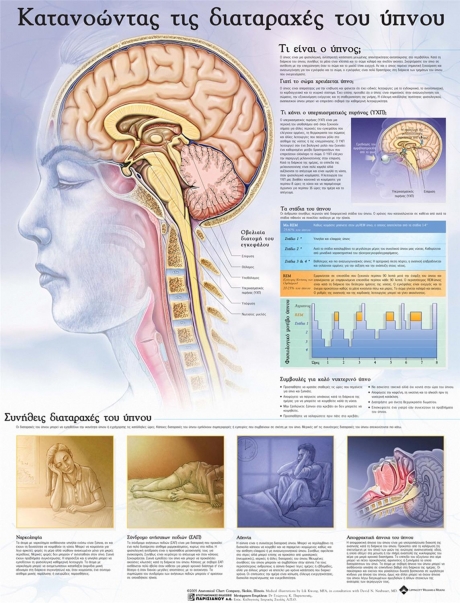Ανατομικός Χάρτης: Κατανοώντας τις Διαταραχές του Ύπνου