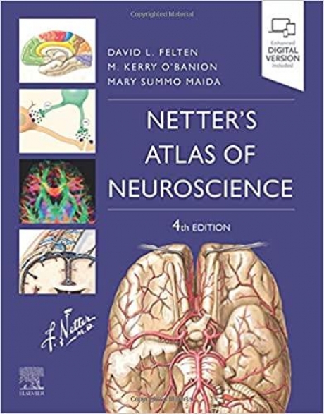 Netter`s Atlas of Neuroscience, 4th Edition