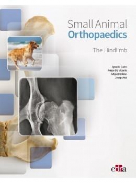 Small animal orthopaedics: The Hindlimb
