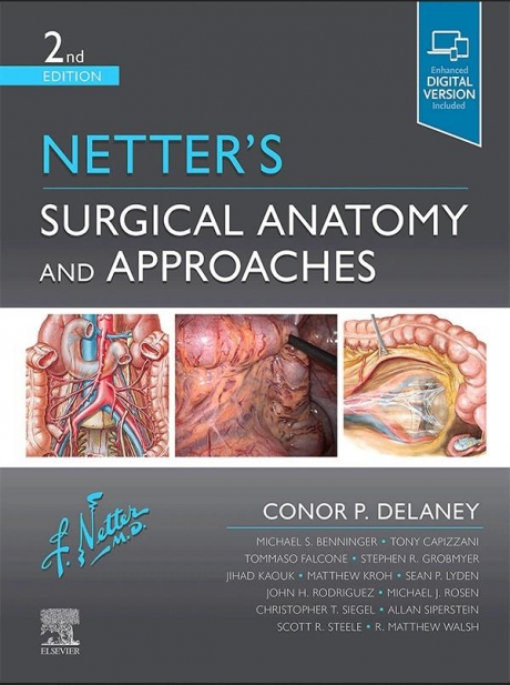 Netter`s Surgical Anatomy and Approaches, 2nd Edition