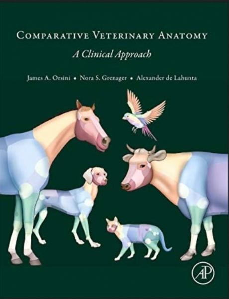 Comparative Veterinary Anatomy: A Clinical Approach, 1st Edition